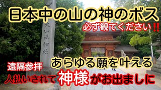 【No.82 大山祇神社・大三島】神社で良い香りが着いてくる。神様に一番近い場所で神様がそばに来てくださった。しまなみ街道の大三島の山と海の神