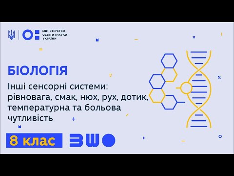 8 клас. Біологія. Сенсорні системи: смак, нюх, рівновага, рух, дотик, температура, біль.