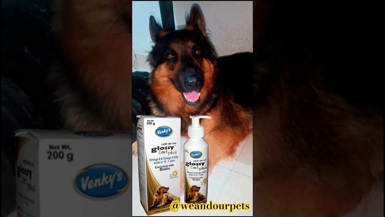 How to use glossy coat plus 