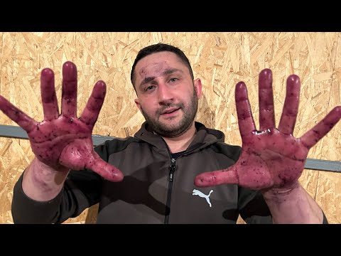 ქვევრის გახსნა👌🏻🍷