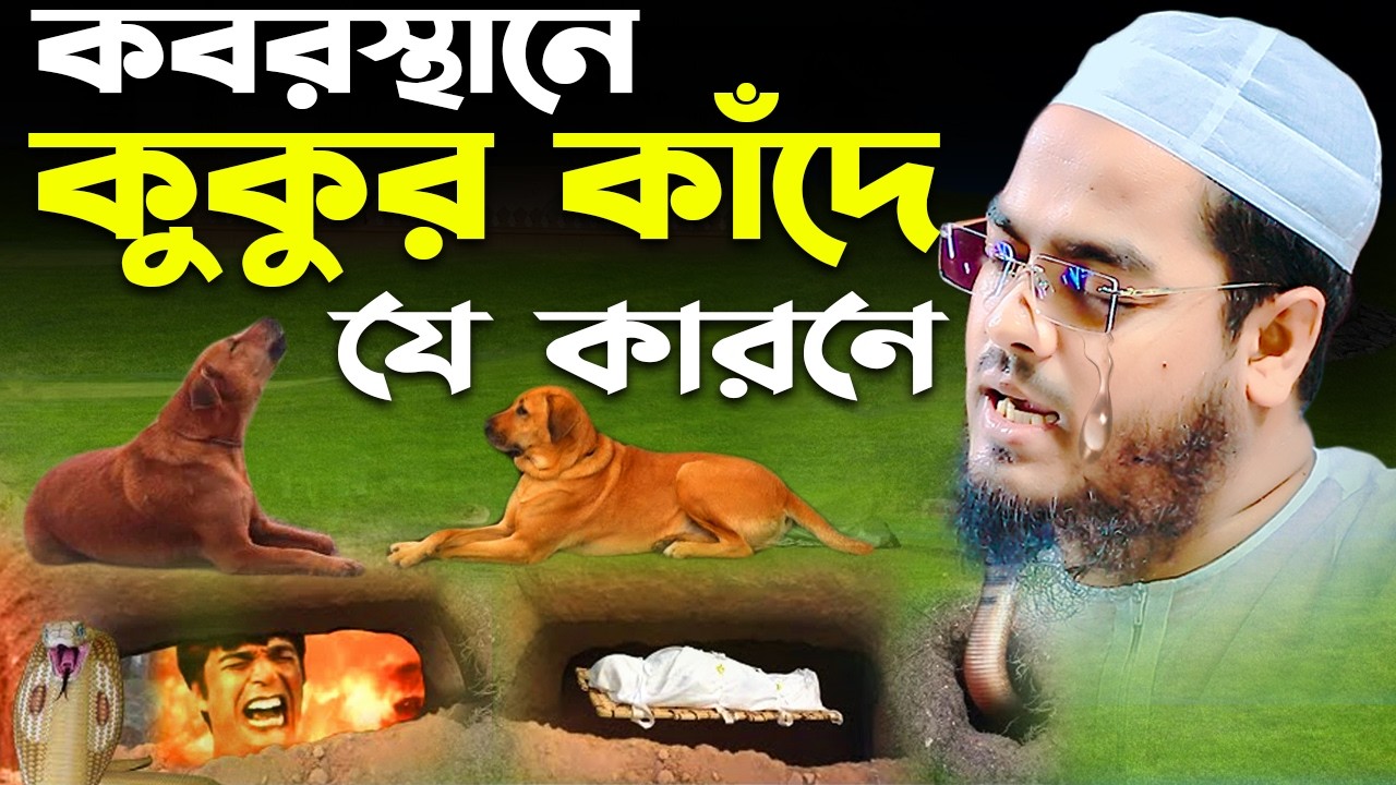 কবরস্থানে কুকুর কাঁদে কেনো😱 হাফিজুর রহমান সিদ্দিকী, Hafizur Rahman Siddiki waz 2025 । Holy Speech