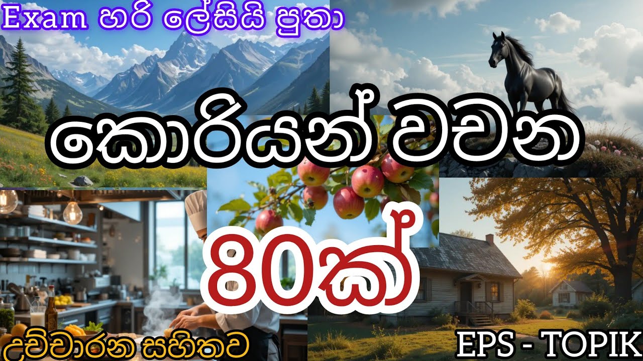 korean words in sinhala/කොරියන් වචන 80 ක්🥵 උච්චාරණ සහිතව/Korean words with pronunciations/EPS TOPIK