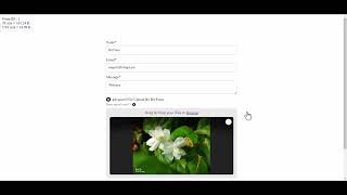 Image Transform Functionality in Advanced File Upload with Bit Form