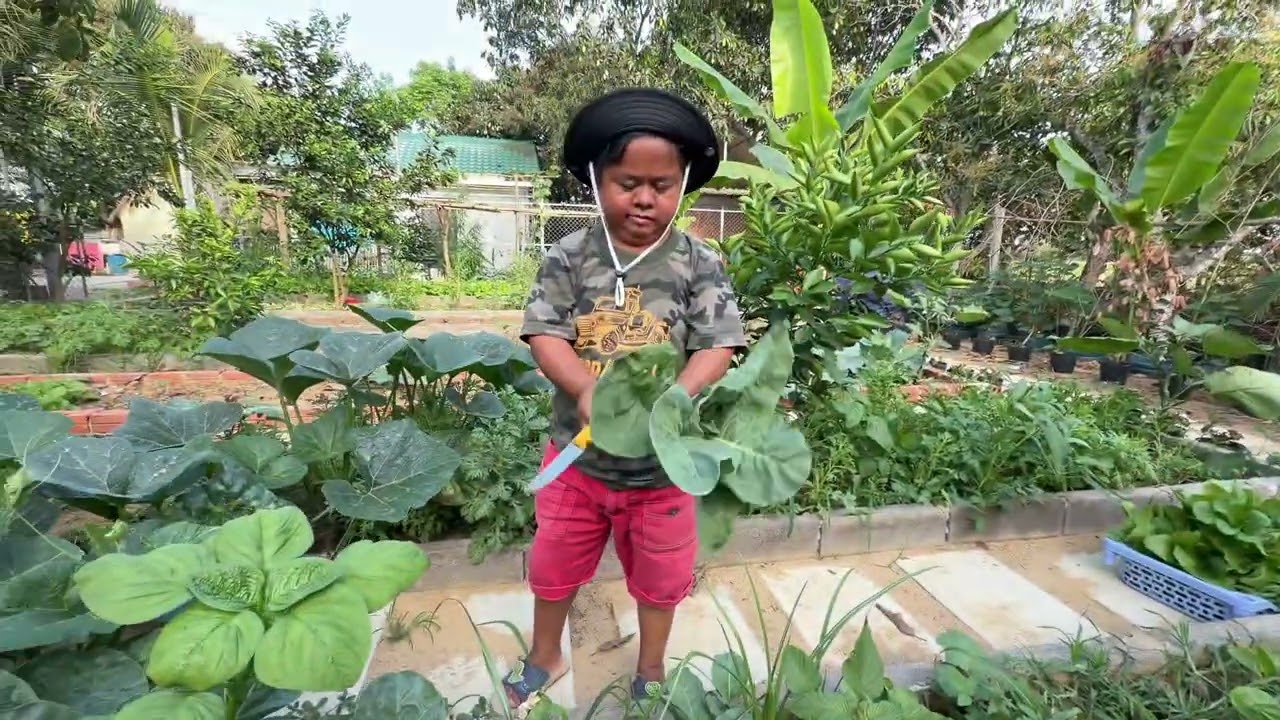 ជីវិតបែបធម្មជាតិរបស់នាយក្រិន🥰