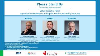 Virtual Executive Panel: Supervisory Independence: Principles, Practice, and Policy Trade-offs