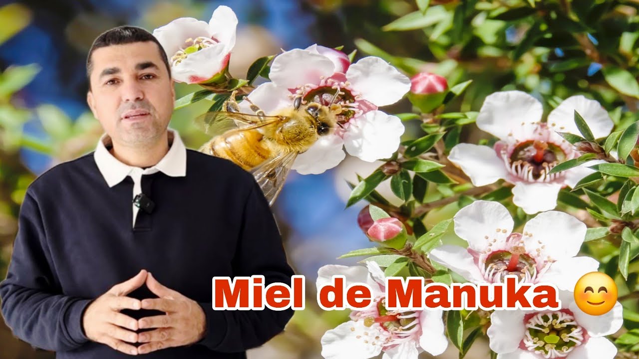 🔴 عسل 🍯 المانوكا هل يشبه العسل المغربي الصحراوي 🏜 