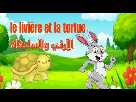 Le Livière Et La Tortue قصة الأرنب والسلحفاة المثابرة عنوان النجاح قصة قصيرة تعلمنا درسا عظيما 