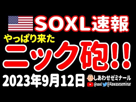 【飛ばし？】FOMC前のブラックアウト期間に、やっぱりニック砲が発射あァァァ！【9月12日 朝の米国株ニュース】