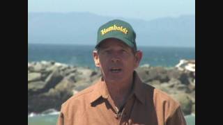 Jetty Safety