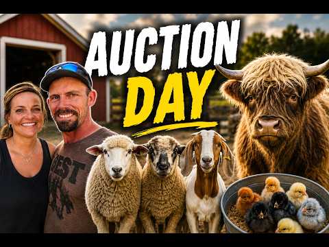 YouTube review by Porter Family Farm Life