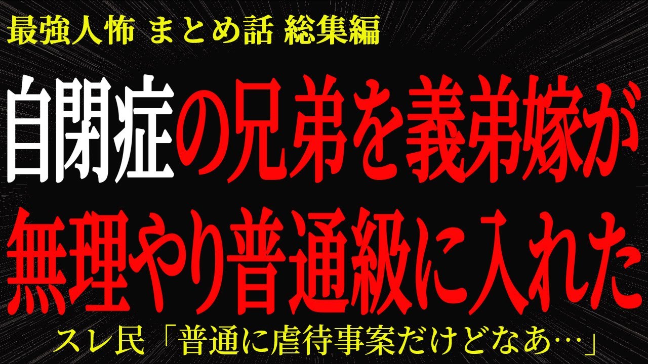【総集編】【2chヒトコワ】自閉症の兄弟を義弟嫁が無理やり普通級に入れた【作業用】【睡眠用】