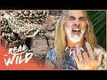 Man Loses A Finger From Venomous Snake Bite | Savage Wild | Real Wild