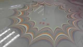 Ebru Water Marbling Art Flying Bird Recorded And Produced By Sally Zhong