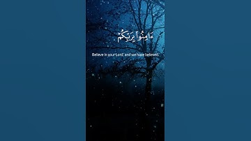 سورة آل عمران الآية 193 و 194  بصوت القارئ محمد الفقيه