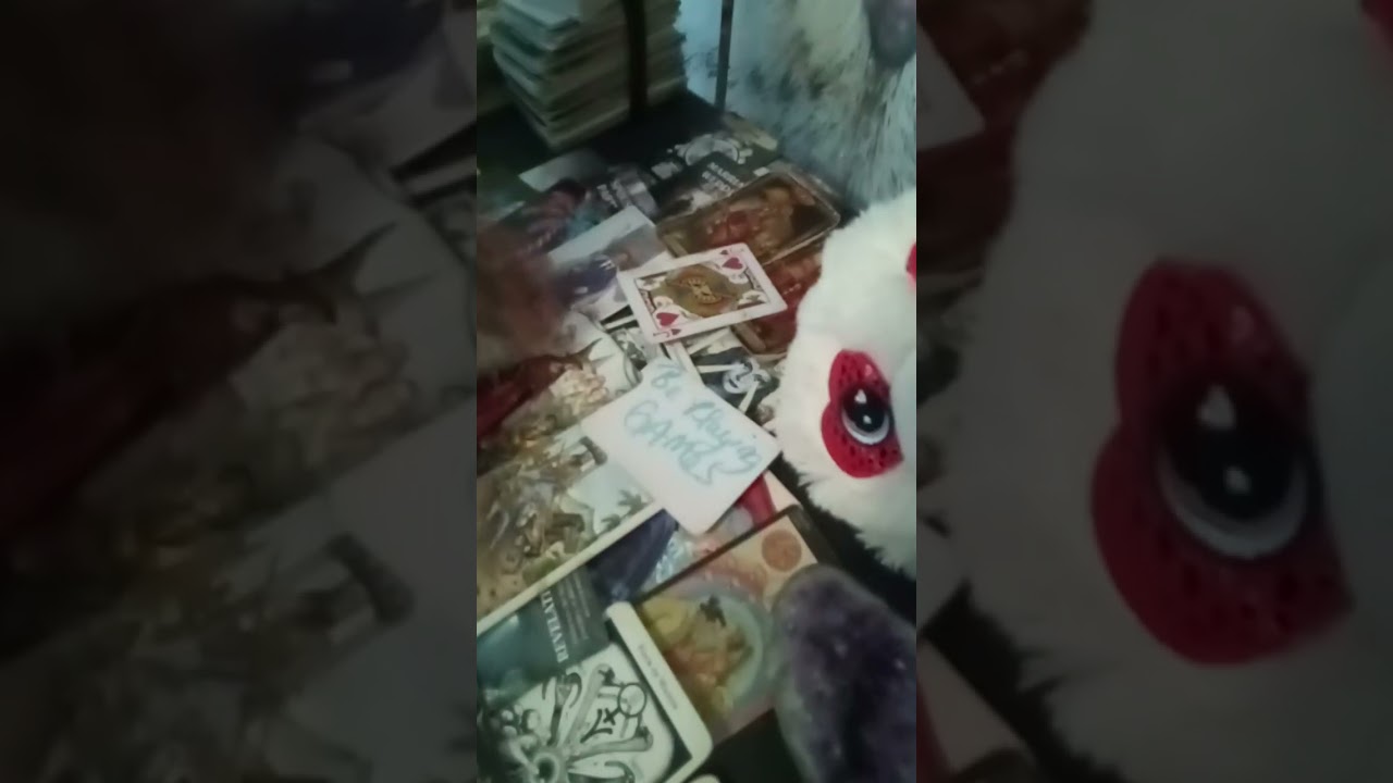 I SEE A ⭐️ STAR ⭐️ GETTING STALKED SENDING PEOPLE TO YOU WATCH OUT