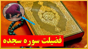 اگر از فضلیت سوره سجده بفهمید هر روز آن را تلاوت می کنید، روز