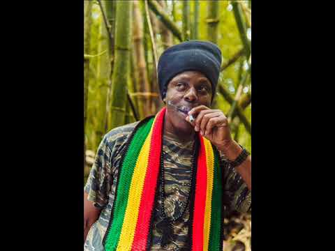 Home Grown Riddim Mix (Full) Feat. Jah Mason, Sizzla, Richie Spice, Christinti, (April Refix 2023)