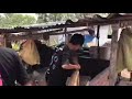 Thanh duy vlogs  v qu trnh dch