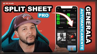 How to CREATE a Custom AI-Style Split Sheet (Royalty Distribution Sheet)