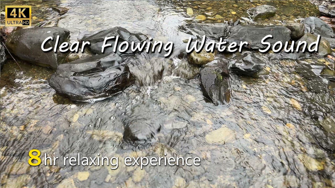 8Hrs of mountain stream sleep sounds,Subtle Whispering of Water in a Forest Creek#watersounds