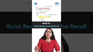 🚀 QRP is LIVE! Power-Packed Rapid Revision for NEET PG with V5 | DocTutorials