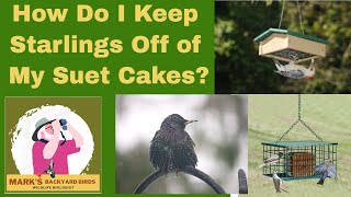How Do I Keep Starlings Off of My Suet Feeders?