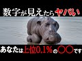 「総集編」数字に見るとヤバい！？たった数パーセントしか実は答えられないクイズ！【ゆっくり解説】