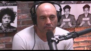 Joe Rogan - MMA Should Be Bareknuckle