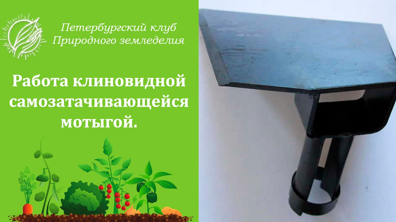 Петербургский Клуб Природного Земледелия Интернет Магазин