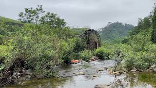 Beautiful river sounds, No birds chirping, best sounds of nature in the mountains, ASMR by Nature Sounds 159 views 2 weeks ago 10 hours