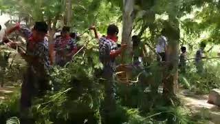 First Position Kv Afs Samana