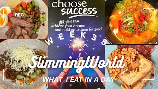Week 35 What I eat in a day on Slimming World