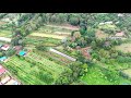BACK IN COSTA RICA! Touring "The Ark Herb Farm", a 20 Acre Botanical Garden (Part 1)