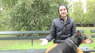 Dog Walking NYC | Introducing Dustin