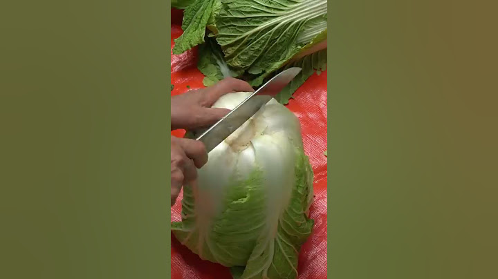 The secret recipe for cabbage kimchi that ends in 59 seconds. #shorts