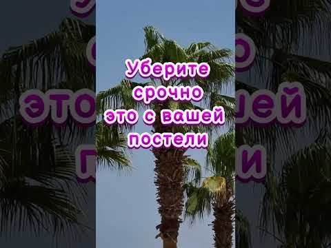 Уберите Срочно Это С Вашей Постели Приметы Советы Эзотерика Магия Ритуалы Деньги