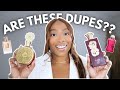 عطرهای VIRAL ARABIAN تست شده Maison Asrar Fakhama Vs Lattafa Ansaam Gold Xoxo کر لین 