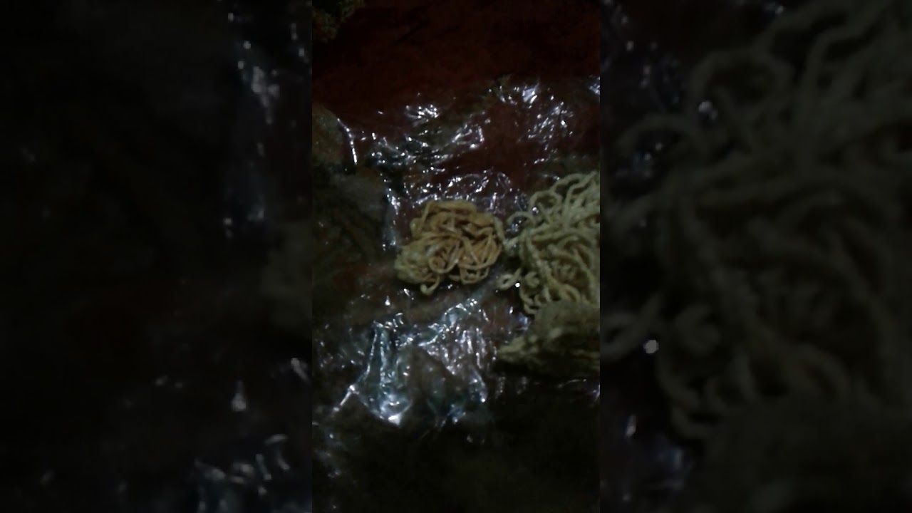 Makanan khas sunda ala jamalludin 