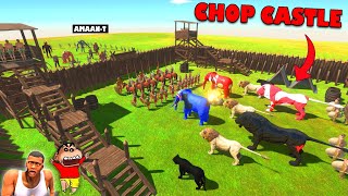 CHOP and SHINCHAN CASTLE vs AMAAN-T ARMY in Animal Revolt Battle Simulator | AMAAN-T GAMING