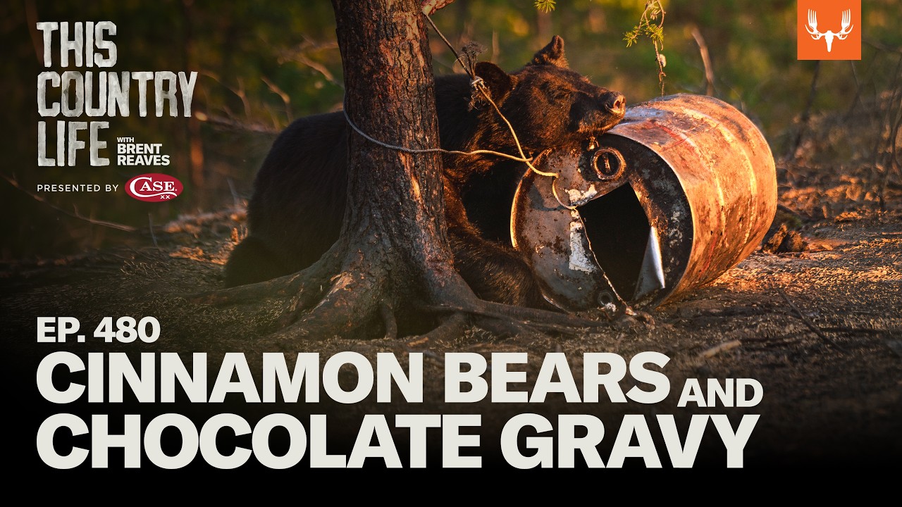 Cinnamon Bears and Chocolate Gravy | This Country Life Ep. 480