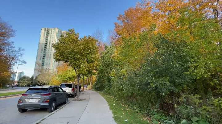Borough Dr. & Frank Faubert Wood Lot | Toronto Walks