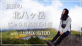 【北八ヶ岳】紅葉登山＆山ごはん＆高見石小屋へ！話題のカメラLUMIX G100を使って撮影して来ました！