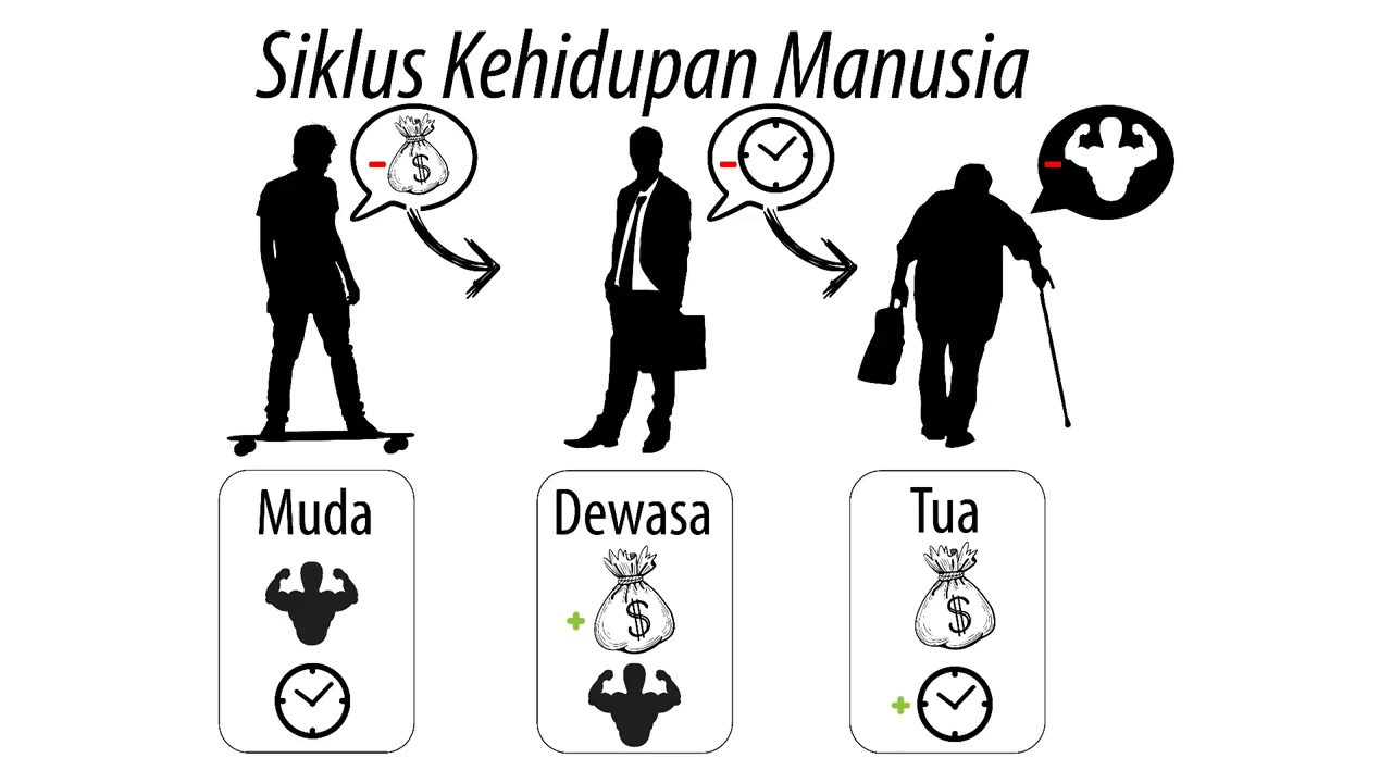 Siklus Kehidupan Manusia  YouTube