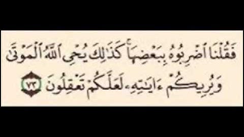 سورة البقره آيه 72  - 73