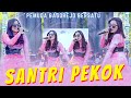 Lili Amora - SANTRI PEKOK (Official Music Video ANEKA SAFARI)