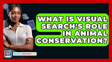 What Is Visual Search