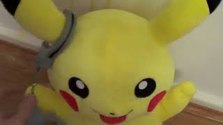 How To Catch A Pokemon - Its Basic