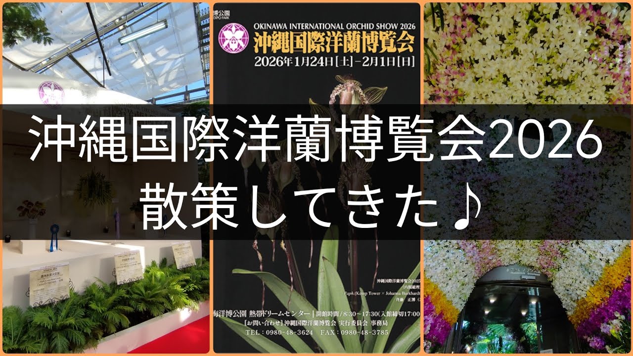 沖縄国際洋蘭博覧会 2026 散策してきた♪