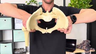 Pelvic Erir