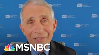 Fauci: U.S. Must Shrink Daily COVID Case Baseline To '10,000 Or Less' | Andrea Mitchell | MSNBC